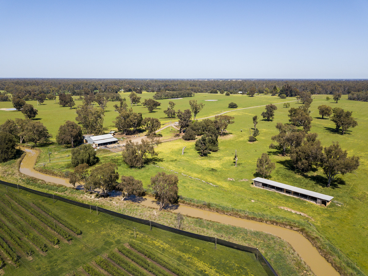 Elite soils in fertile river country Kevin Hicks Real Estate