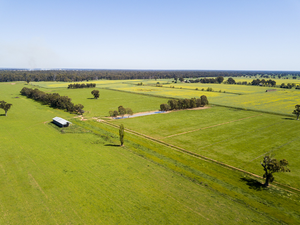 Elite soils in fertile river country Kevin Hicks Real Estate