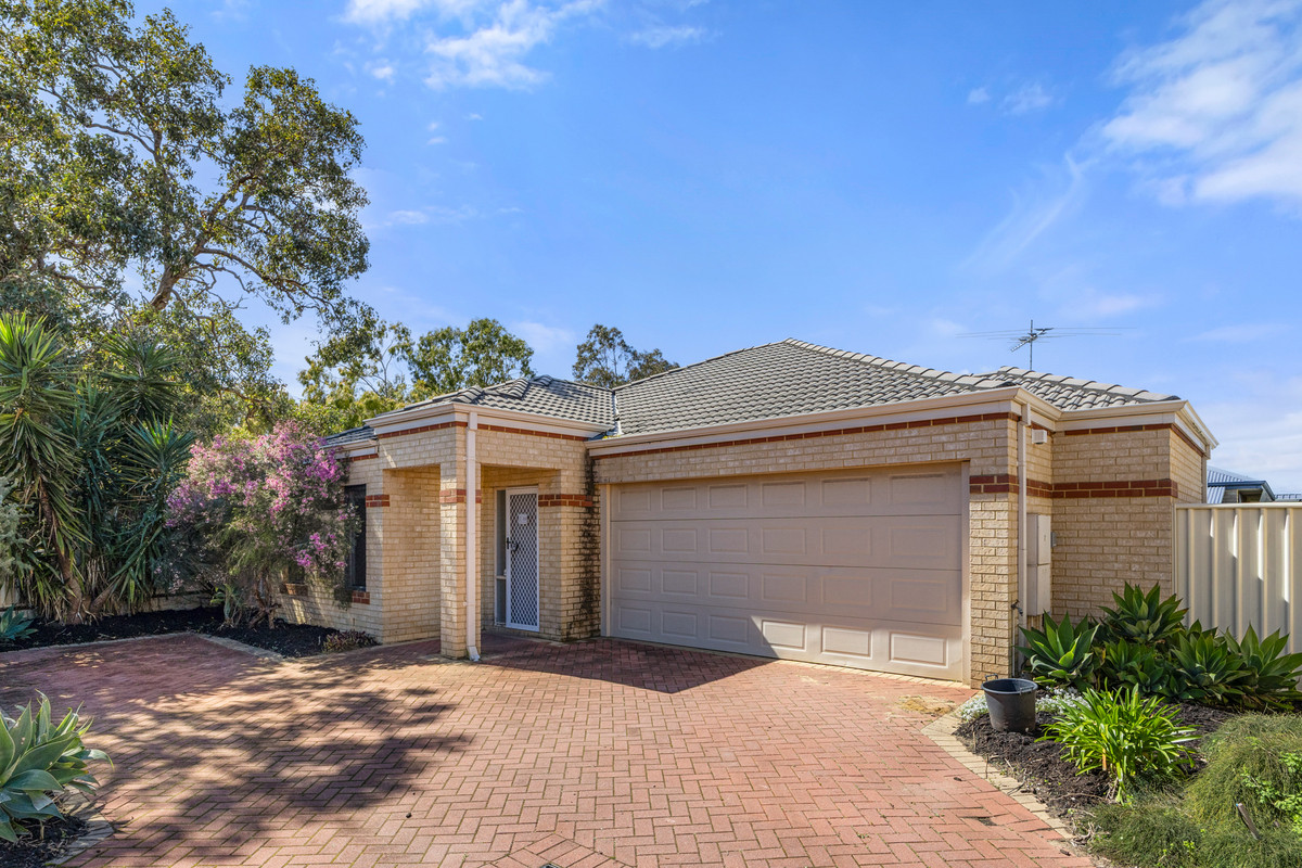 Wattle Grove
