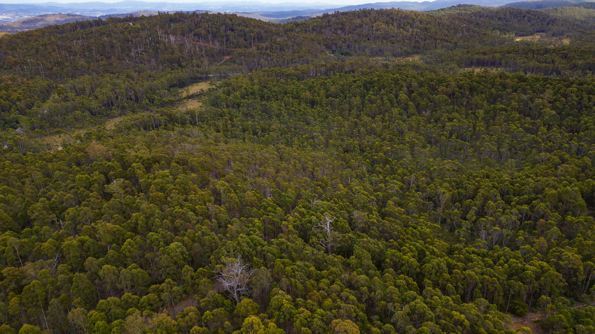 1/1166 Prossers Road, Underwood, TAS, 7268 - Image 6