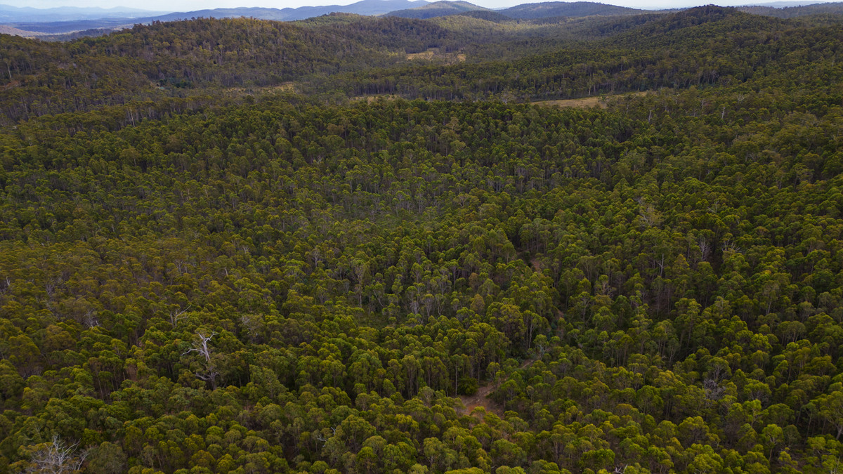 1/1166 Prossers Road, Underwood, TAS, 7268 - Image 7