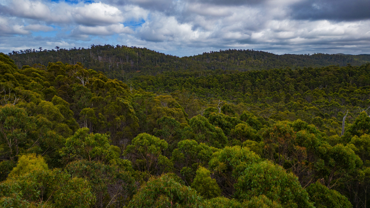 1/1166 Prossers Road, Underwood, TAS, 7268 - Image 8