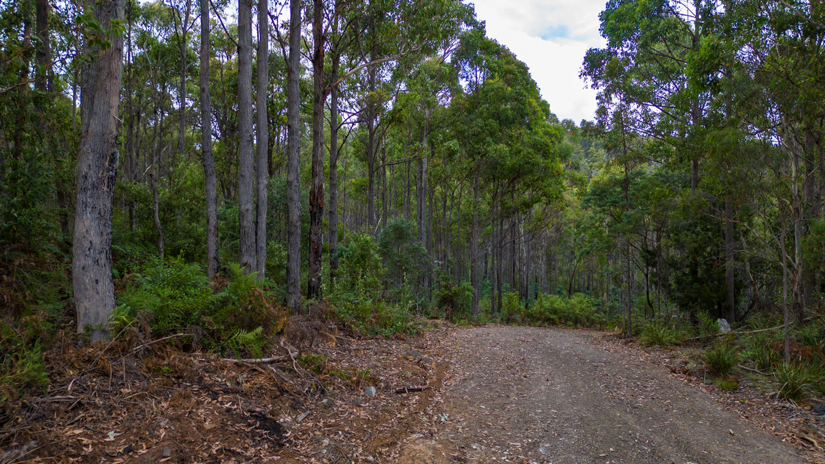 1/1166 Prossers Road, Underwood, TAS, 7268 - Image 3