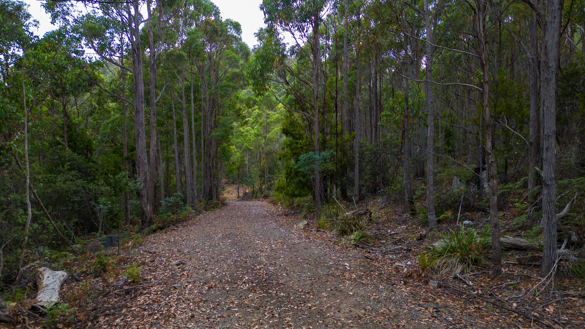 1/1166 Prossers Road, Underwood, TAS, 7268 - Image 4