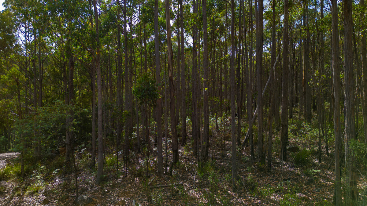 1/1166 Prossers Road, Underwood, TAS, 7268 - Image 12