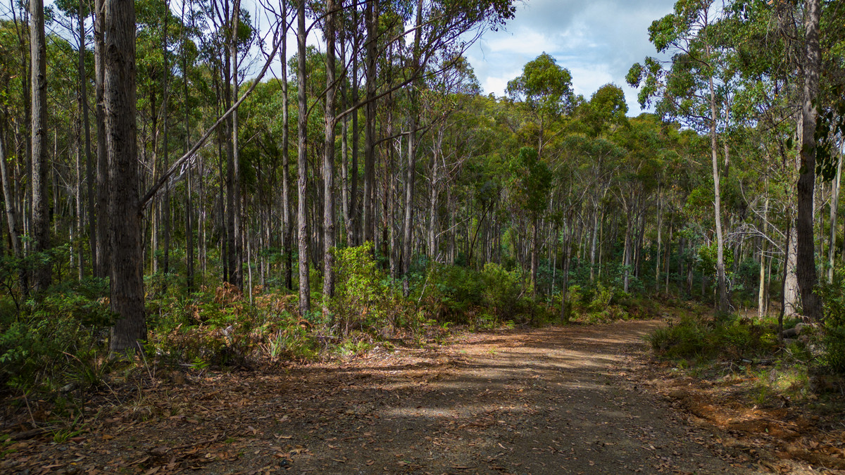 1/1166 Prossers Road, Underwood, TAS, 7268 - Image 13