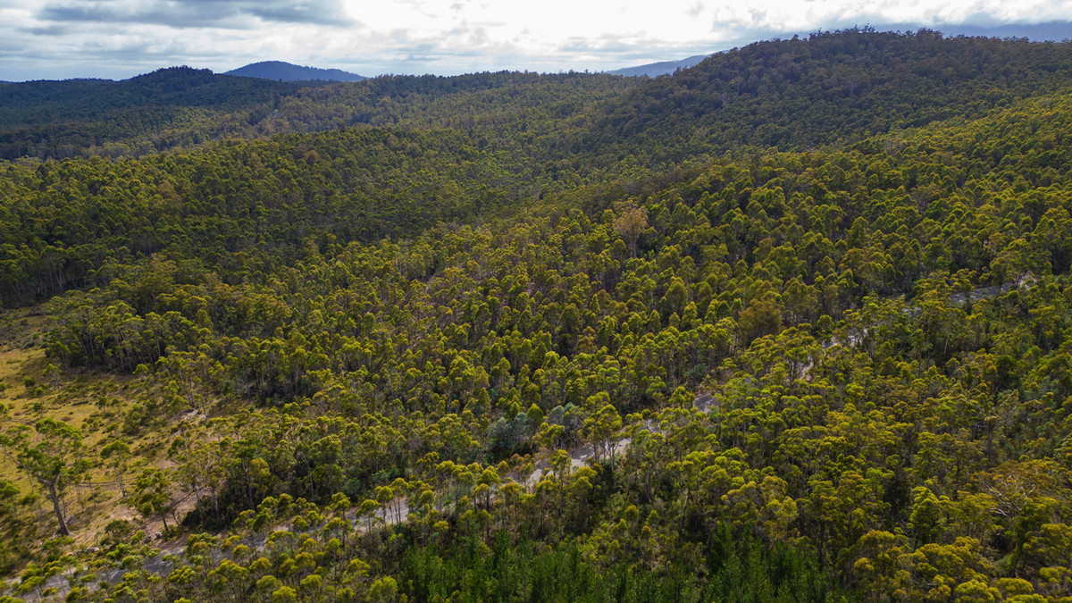 1/1166 Prossers Road, Underwood, TAS, 7268 - Image 2