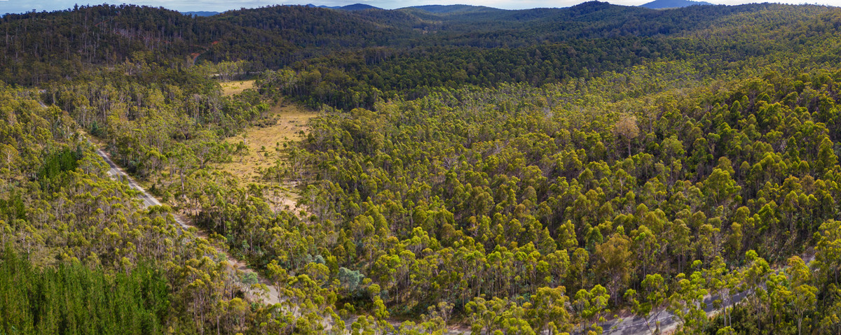 1/1166 Prossers Road, Underwood, TAS, 7268 - Image 5
