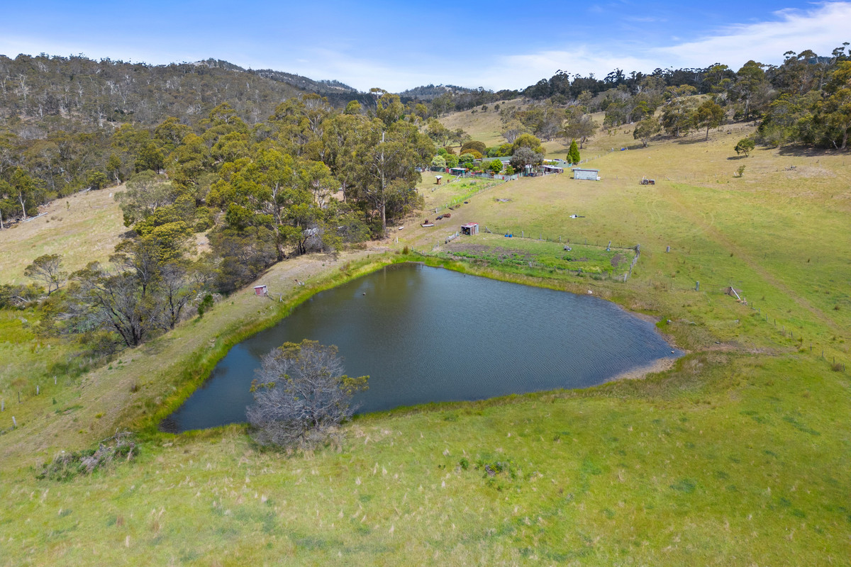 9701 Tasman Highway, Triabunna, TAS, 7190 - Image 28