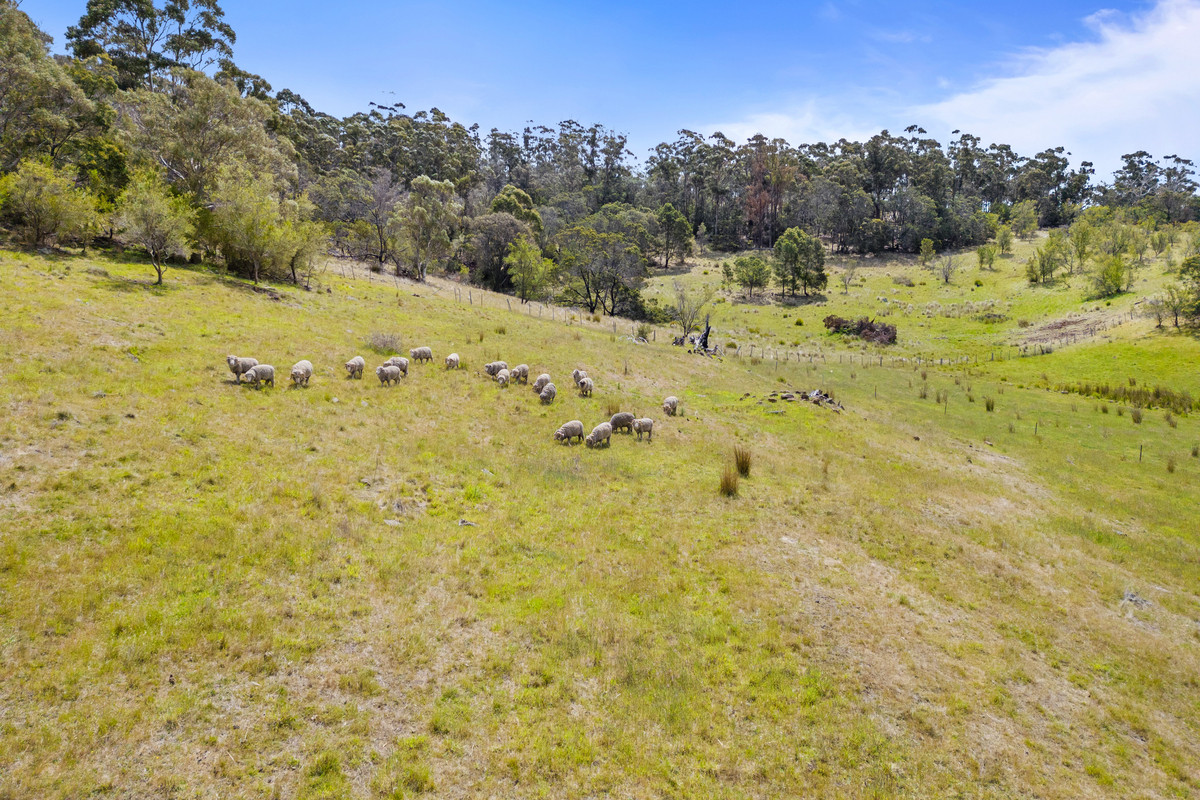 9701 Tasman Highway, Triabunna, TAS, 7190 - Image 29
