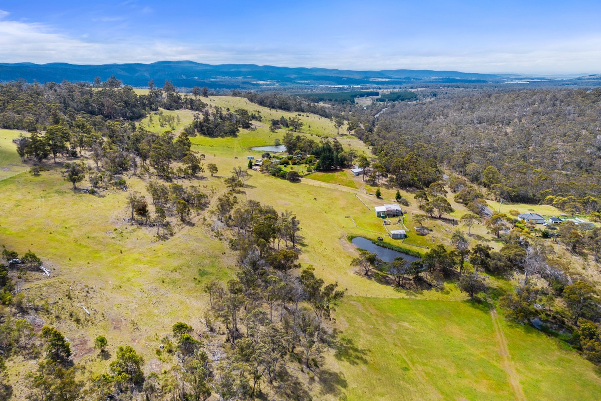9701 Tasman Highway, Triabunna, TAS, 7190 - Image 34