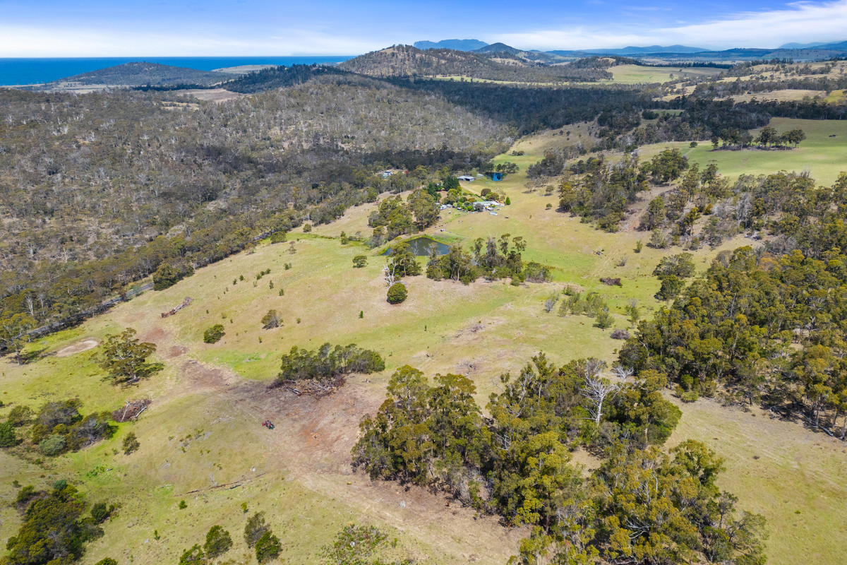 9701 Tasman Highway, Triabunna, TAS, 7190 - Image 35