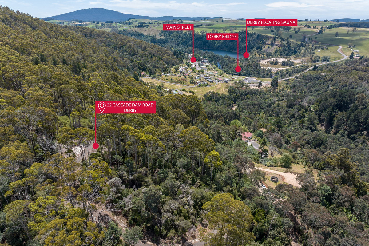 22 Cascade Dam Road, Derby, TAS, 7264 - Image 3