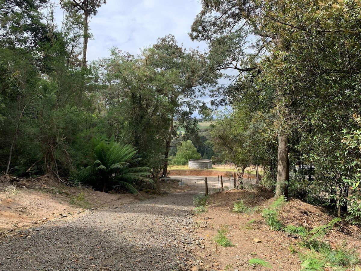 22 Cascade Dam Road, Derby, TAS, 7264 - Image 13