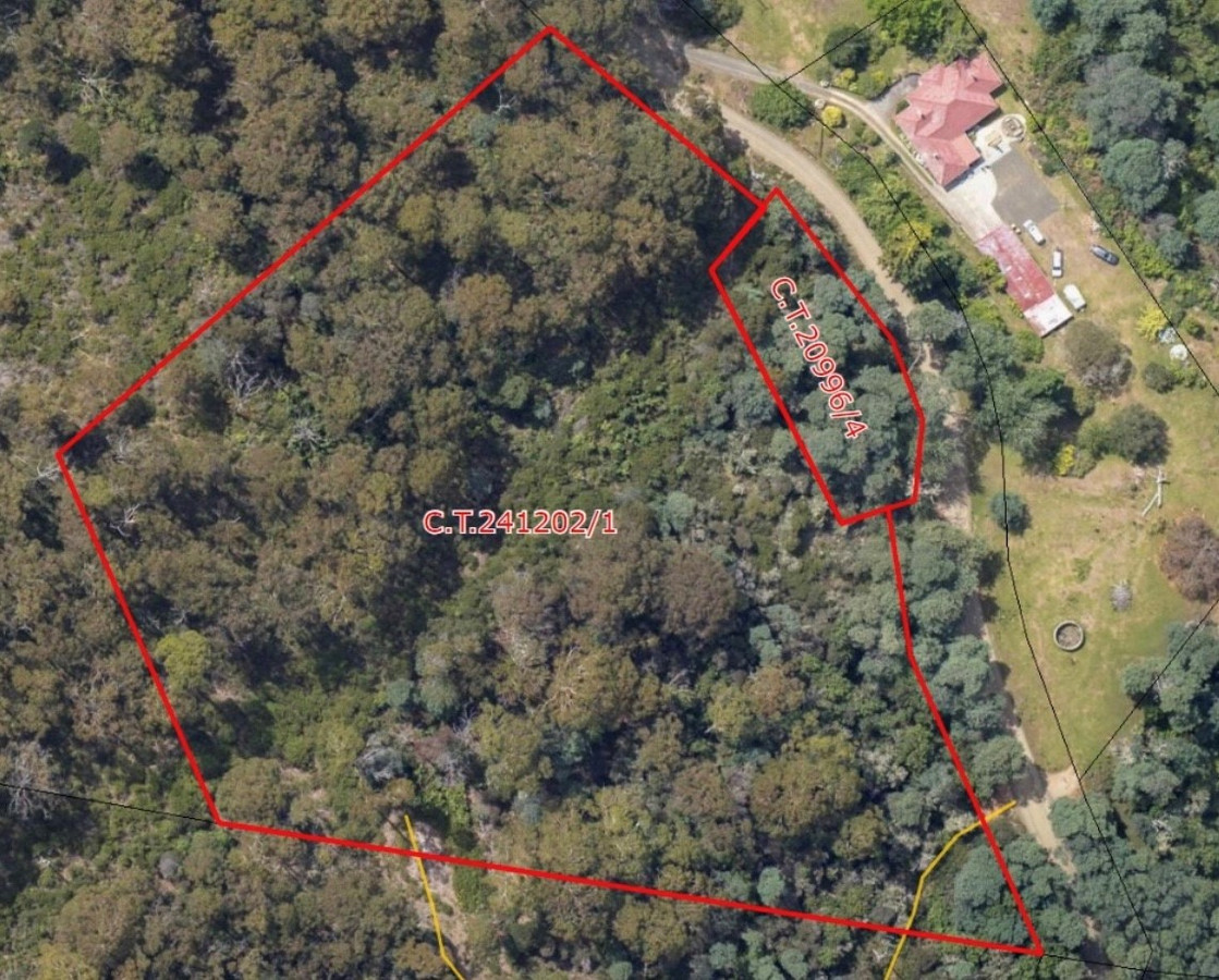 22 Cascade Dam Road, Derby, TAS, 7264 - Image 2