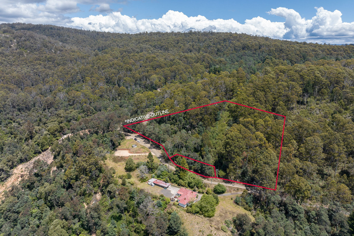 22 Cascade Dam Road, Derby, TAS, 7264 - Image 1