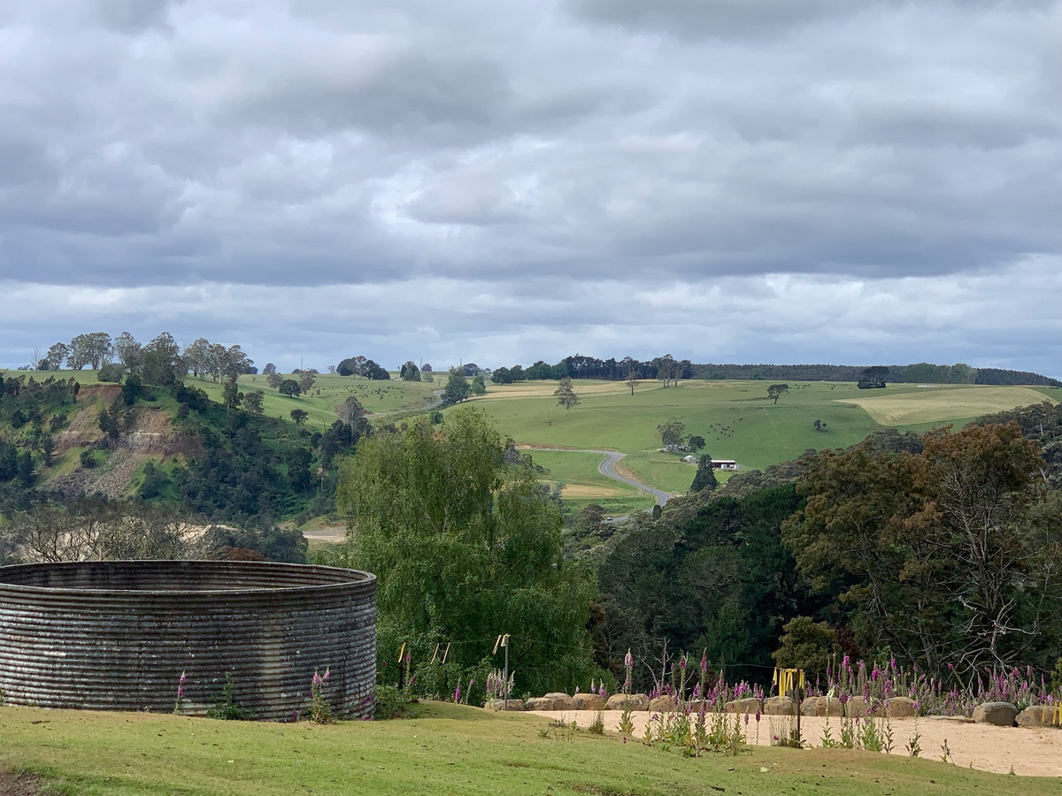 22 Cascade Dam Road, Derby, TAS, 7264 - Image 16