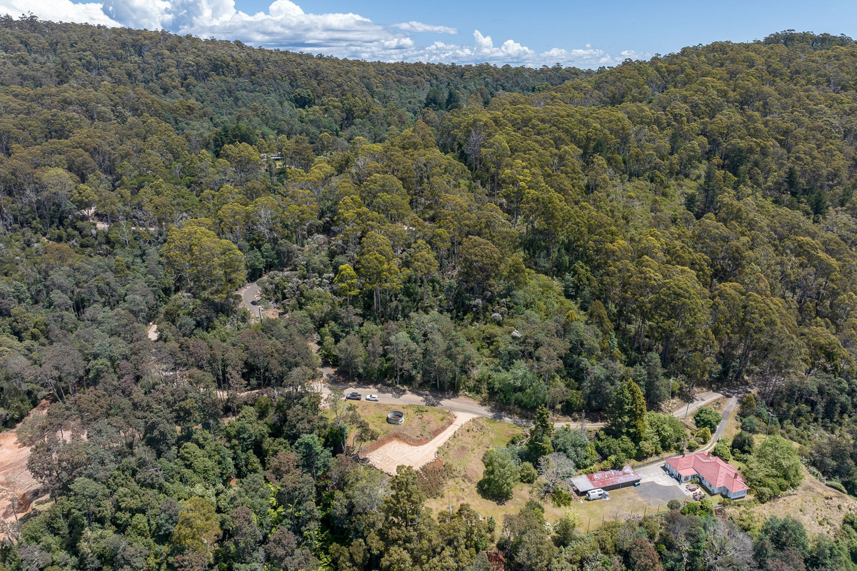 22 Cascade Dam Road, Derby, TAS, 7264 - Image 4