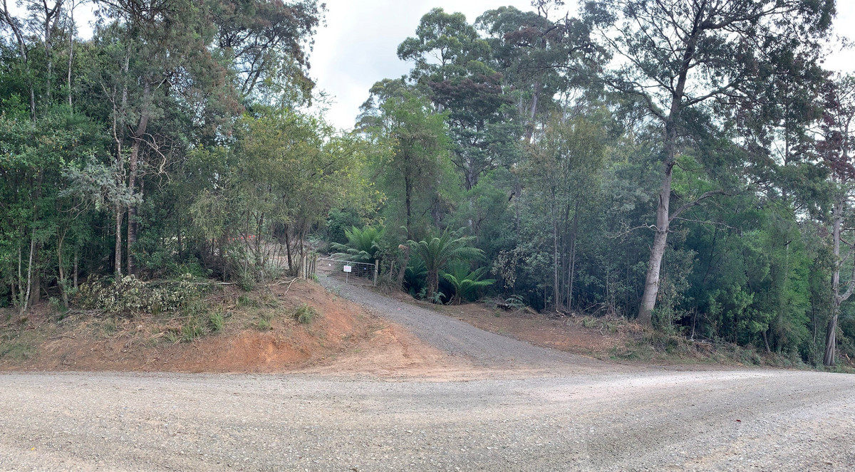 22 Cascade Dam Road, Derby, TAS, 7264 - Image 5