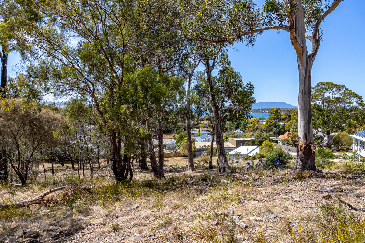 20 Charles Street, Orford, TAS, 7190 - Image 3