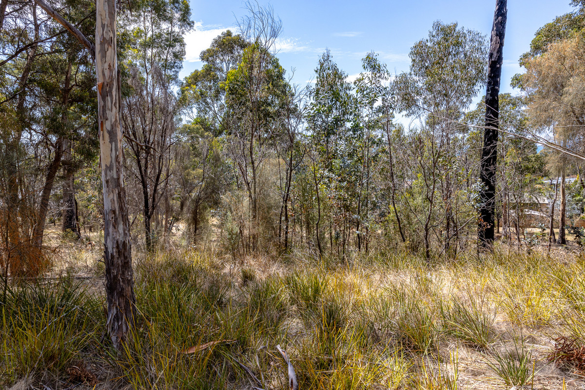 20 Charles Street, Orford, TAS, 7190 - Image 5