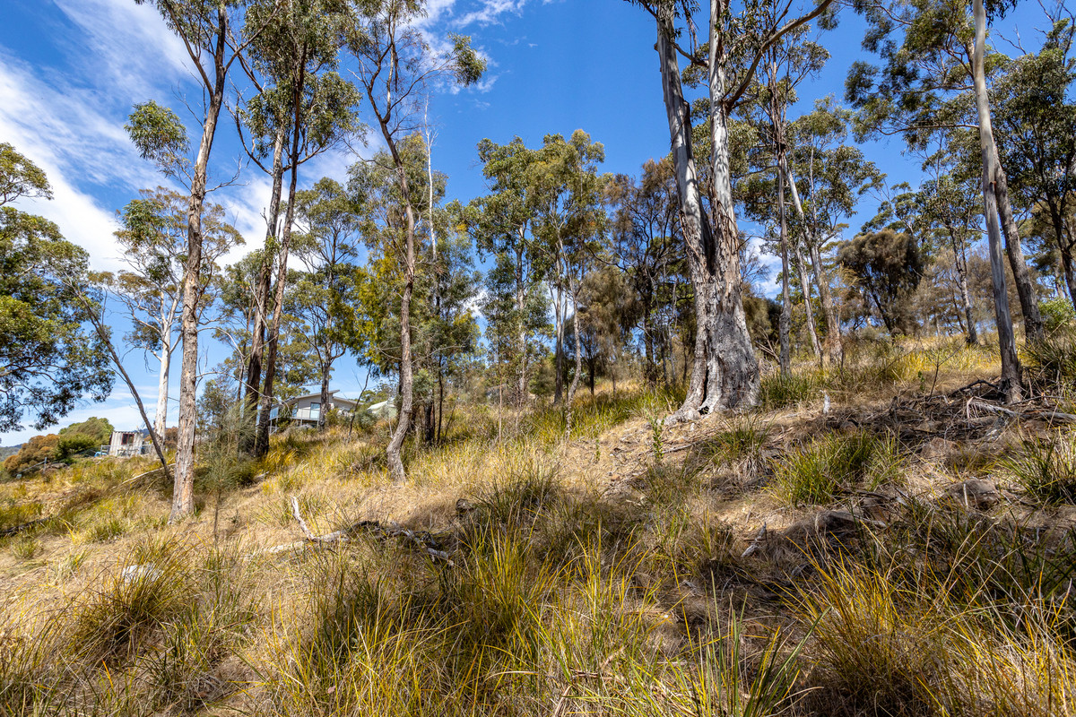 20 Charles Street, Orford, TAS, 7190 - Image 7