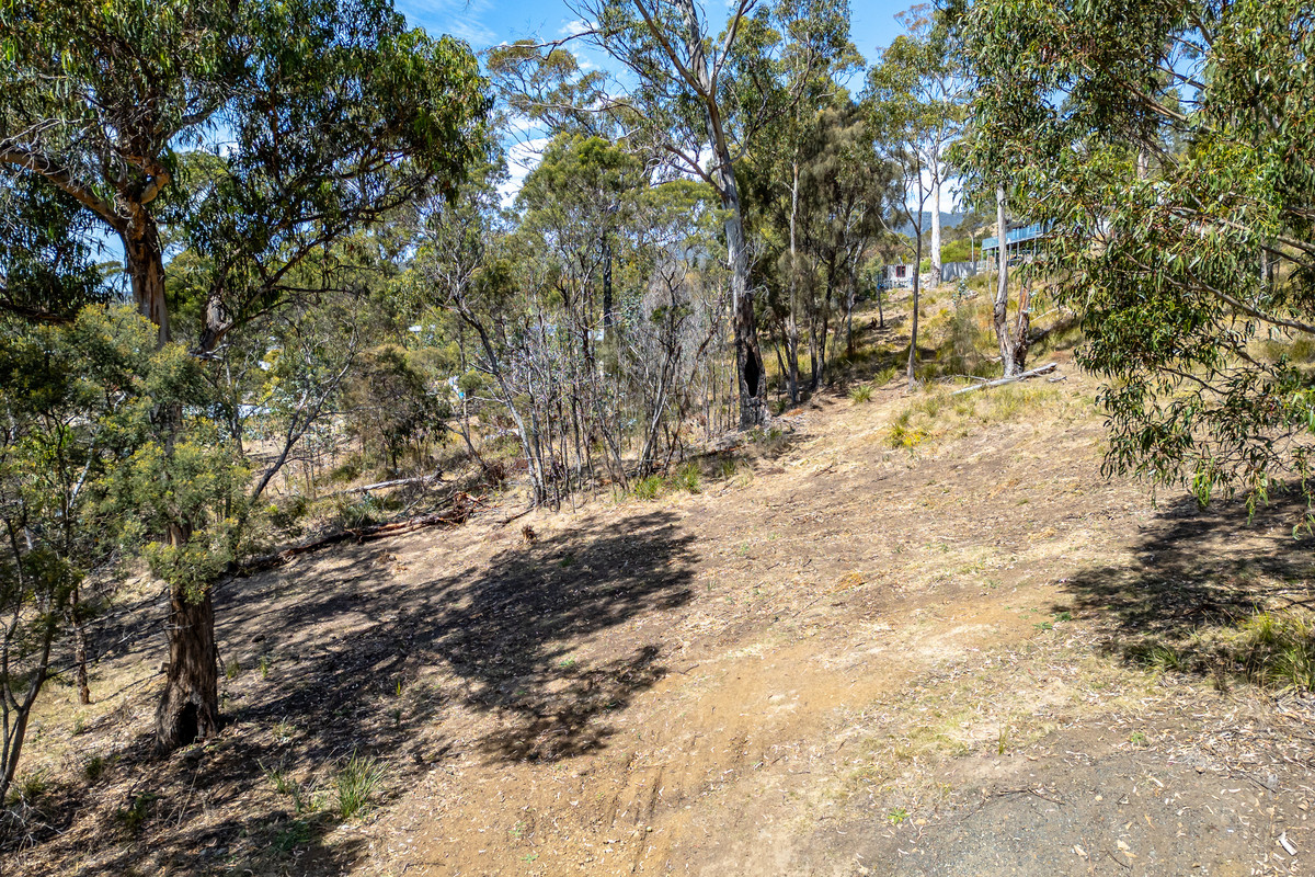 20 Charles Street, Orford, TAS, 7190 - Image 10