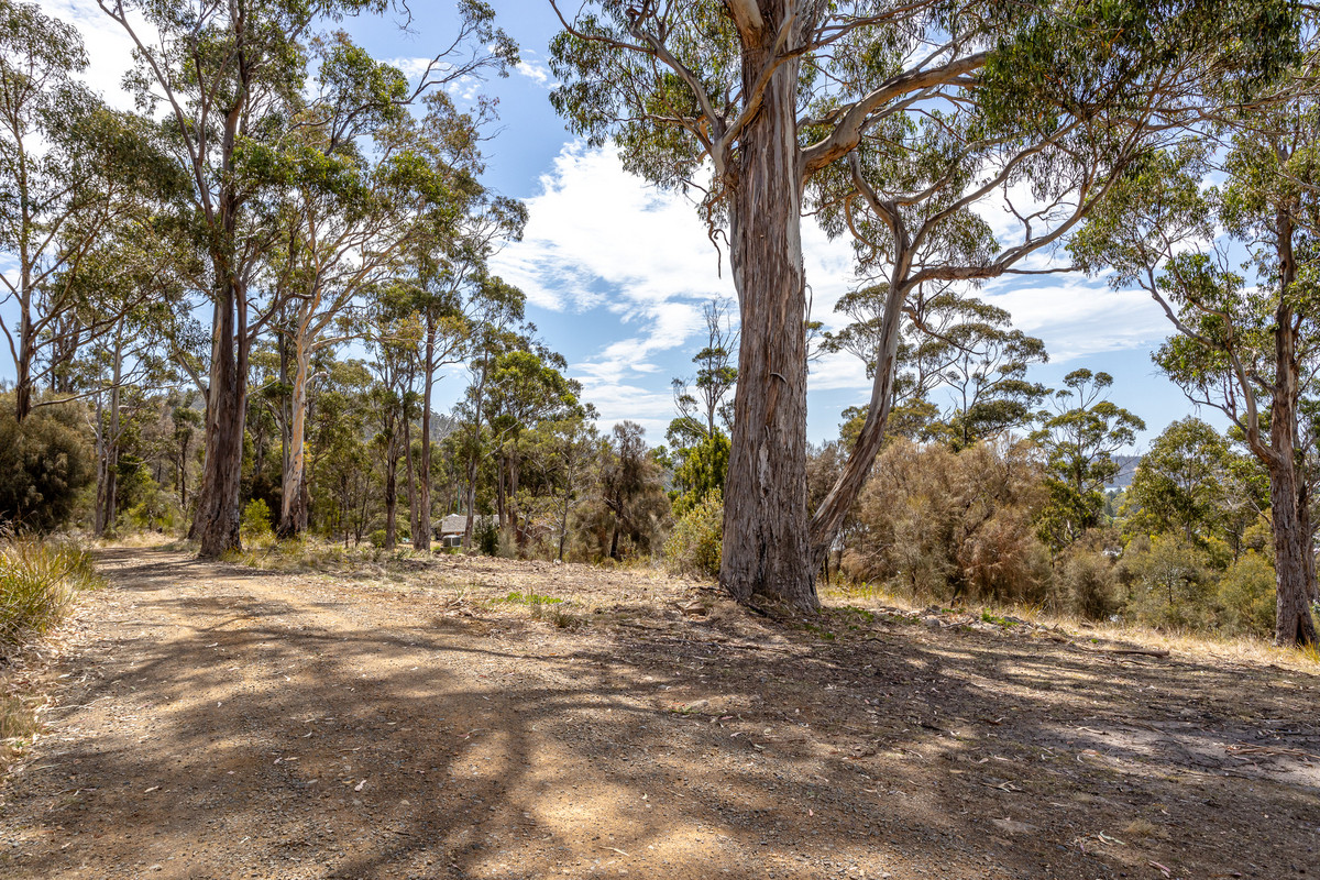 20 Charles Street, Orford, TAS, 7190 - Image 11