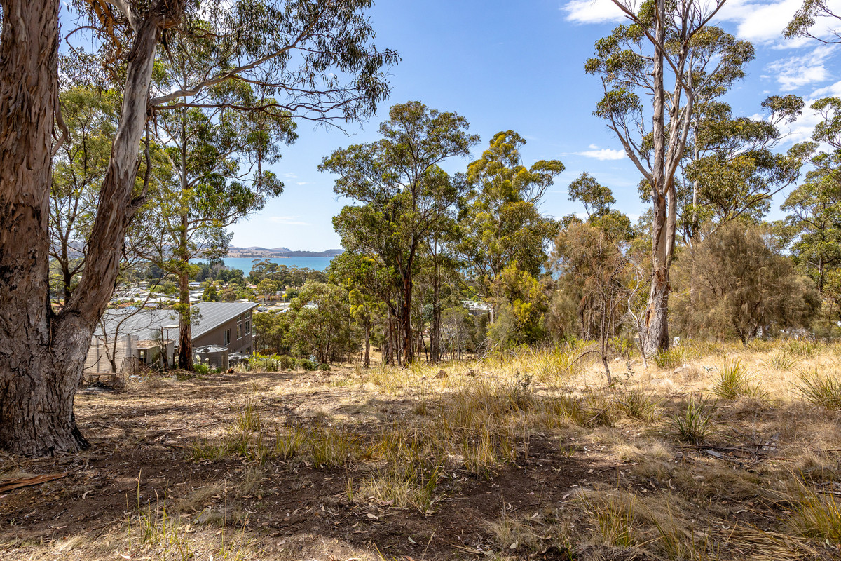 20 Charles Street, Orford, TAS, 7190 - Image 13
