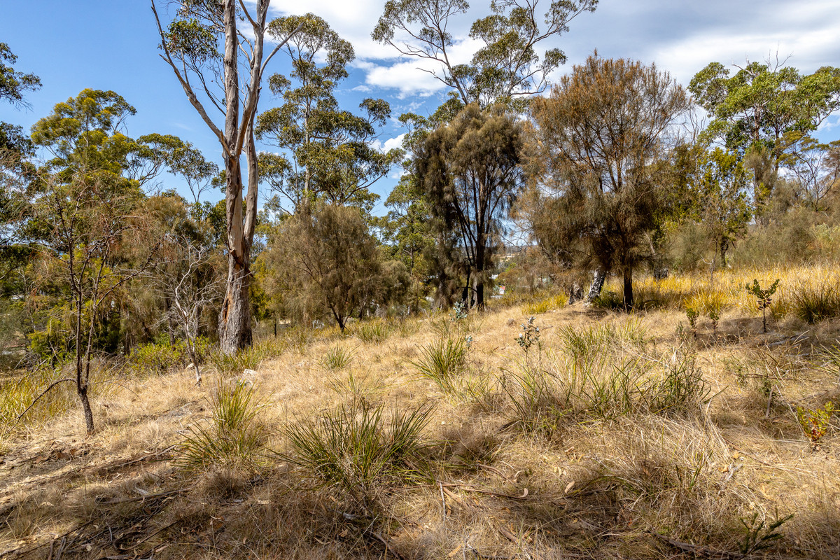 20 Charles Street, Orford, TAS, 7190 - Image 15