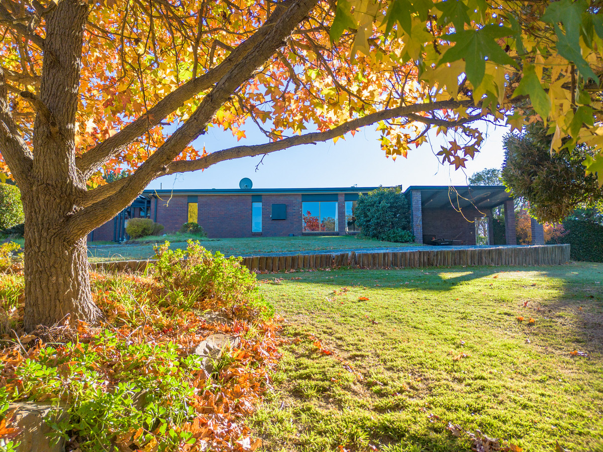 1582 Bridport Road, Bridport, TAS, 7262 - Image 8