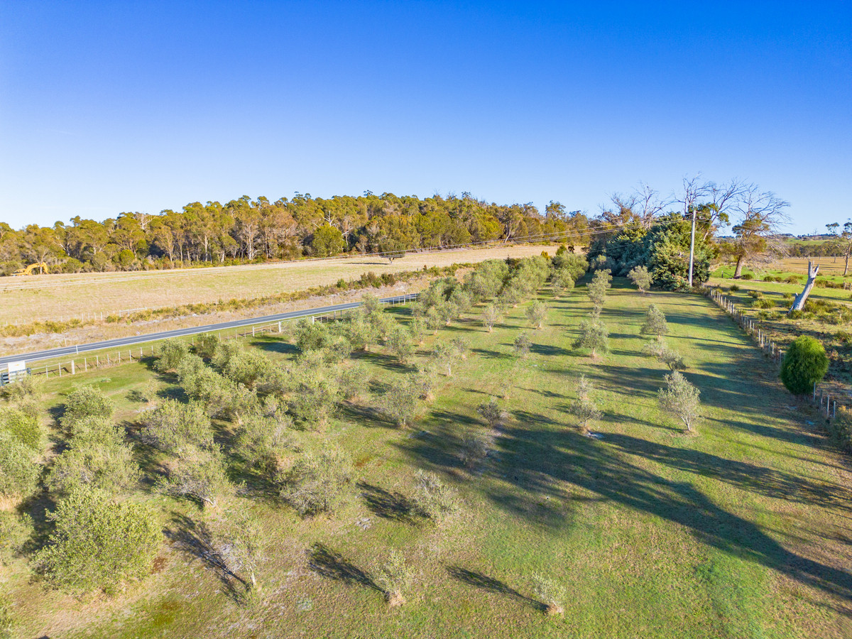 1582 Bridport Road, Bridport, TAS, 7262 - Image 24
