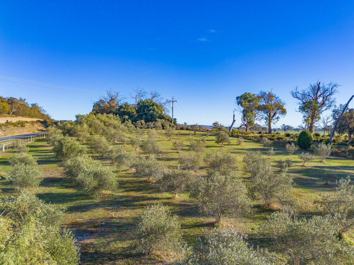 1582 Bridport Road, Bridport, TAS, 7262 - Image 33