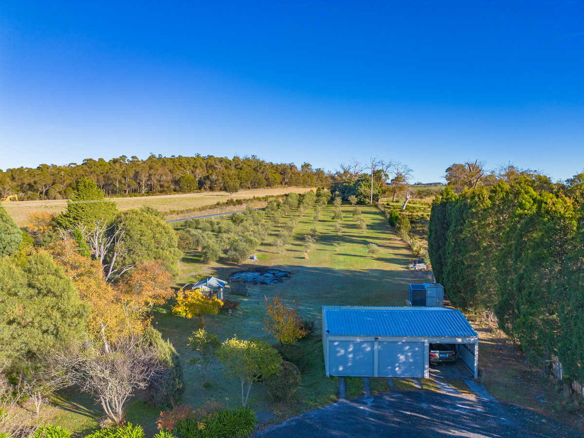 1582 Bridport Road, Bridport, TAS, 7262 - Image 29
