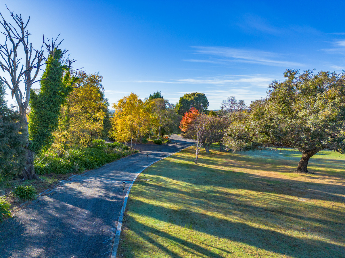 1582 Bridport Road, Bridport, TAS, 7262 - Image 9
