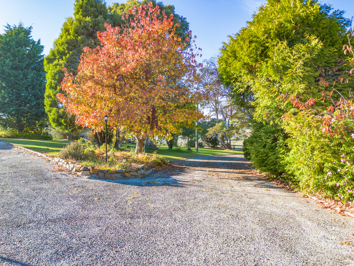 1582 Bridport Road, Bridport, TAS, 7262 - Image 35