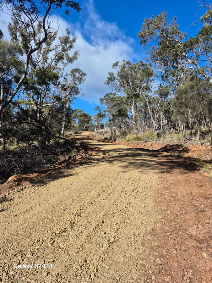 717 Crossins Road, Swansea, TAS, 7190 - Image 4