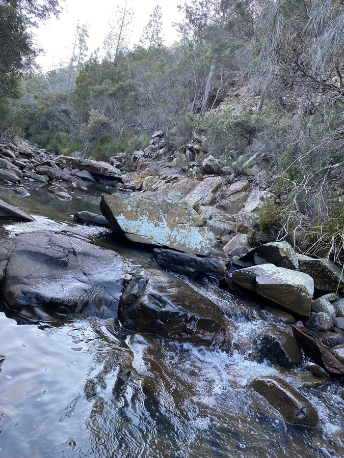 717 Crossins Road, Swansea, TAS, 7190 - Image 7