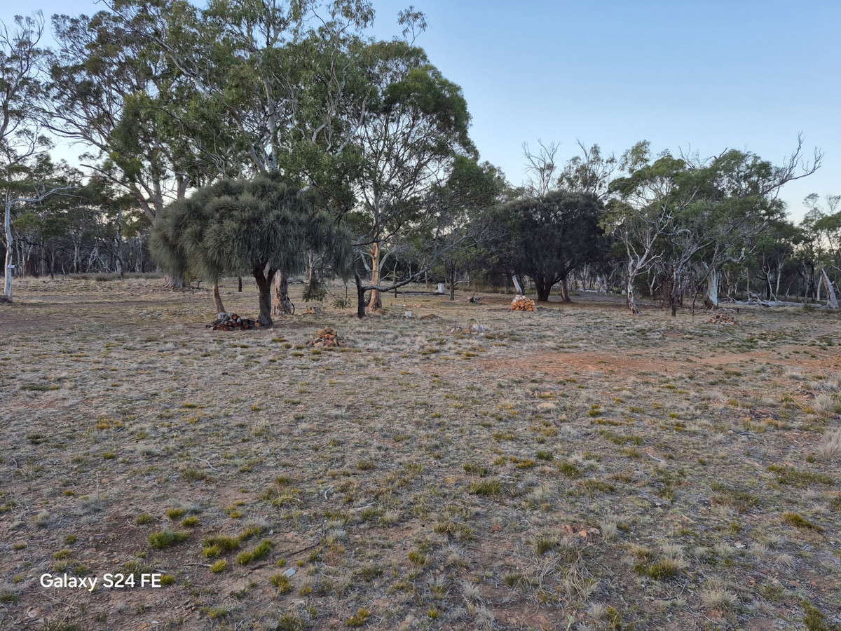 717 Crossins Road, Swansea, TAS, 7190 - Image 8