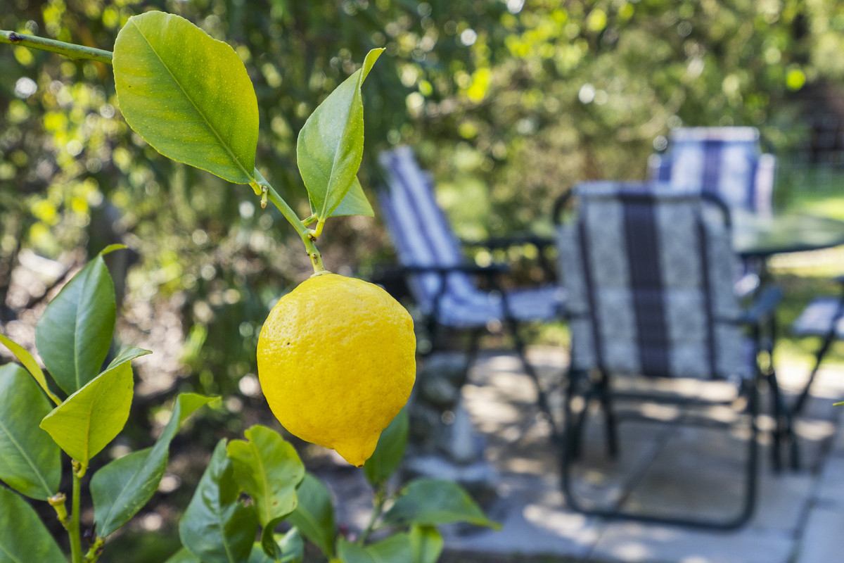 2 Strawberry Hill Court, Orford, TAS, 7190 - Image 29