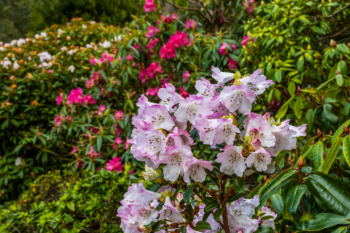 10 Westringa Road, Fern Tree, TAS, 7054 - Image 26