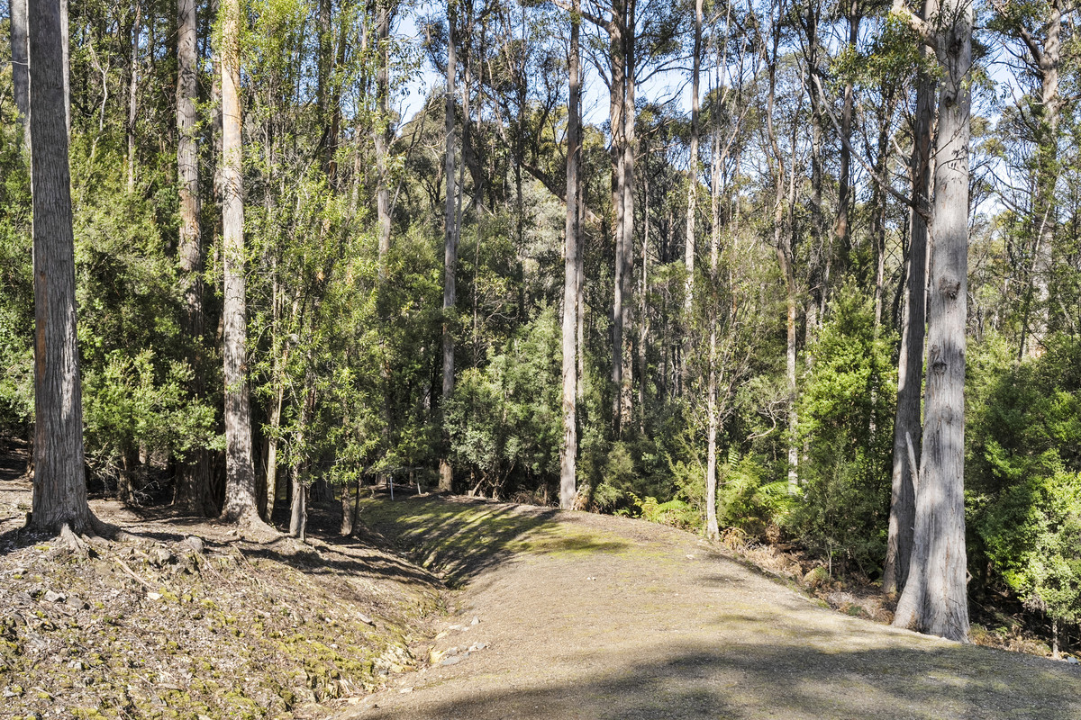 10 Westringa Road, Fern Tree, TAS, 7054 - Image 29