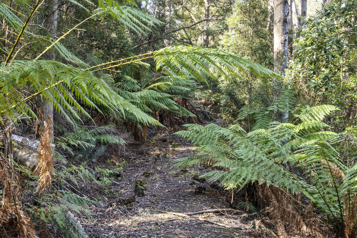 10 Westringa Road, Fern Tree, TAS, 7054 - Image 30