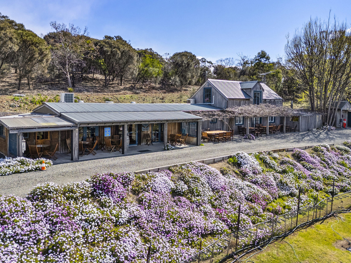 12 Addison Street, Swansea, TAS, 7190 - Image 2
