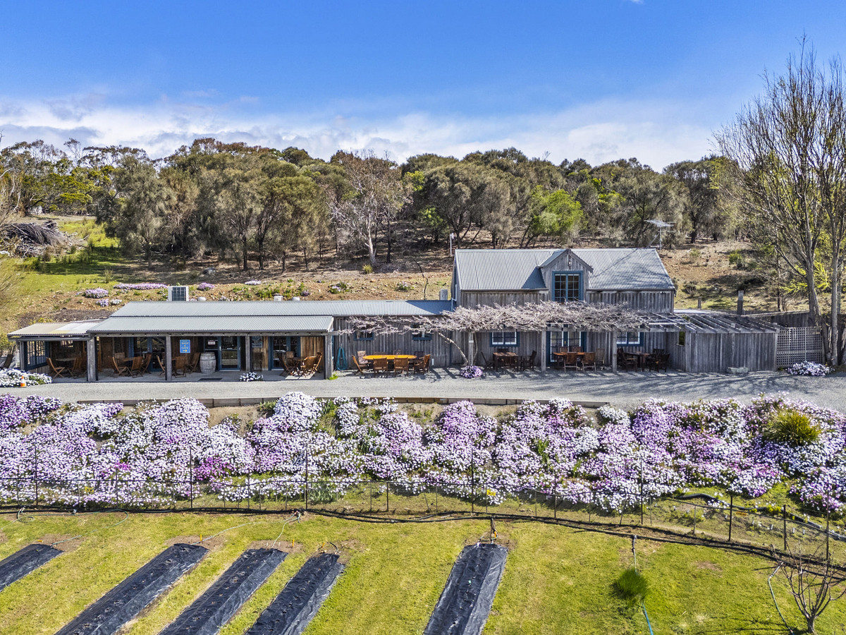 12 Addison Street, Swansea, TAS, 7190 - Image 13