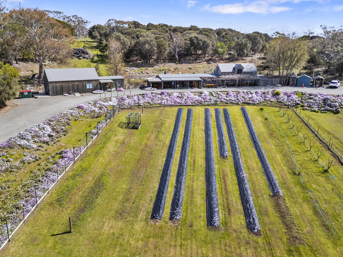 12 Addison Street, Swansea, TAS, 7190 - Image 31