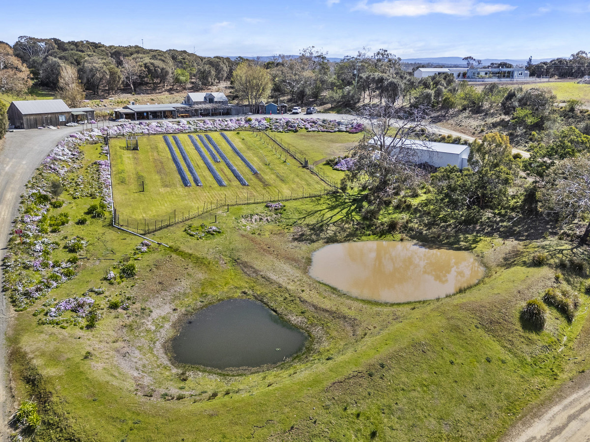 12 Addison Street, Swansea, TAS, 7190 - Image 29