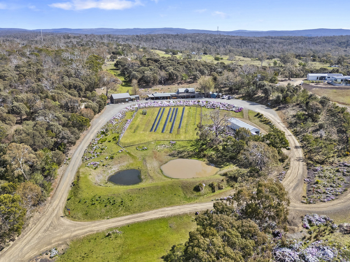 12 Addison Street, Swansea, TAS, 7190 - Image 4