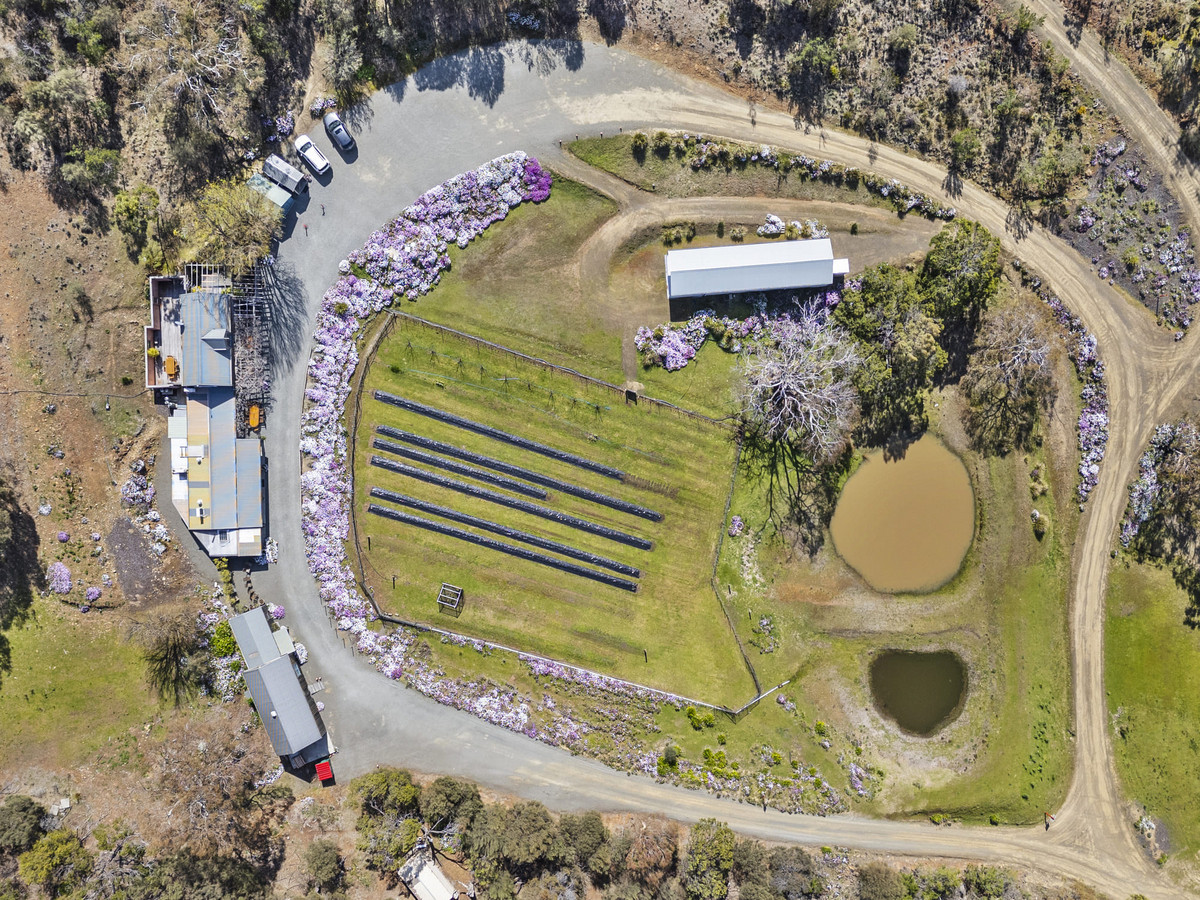 12 Addison Street, Swansea, TAS, 7190 - Image 30