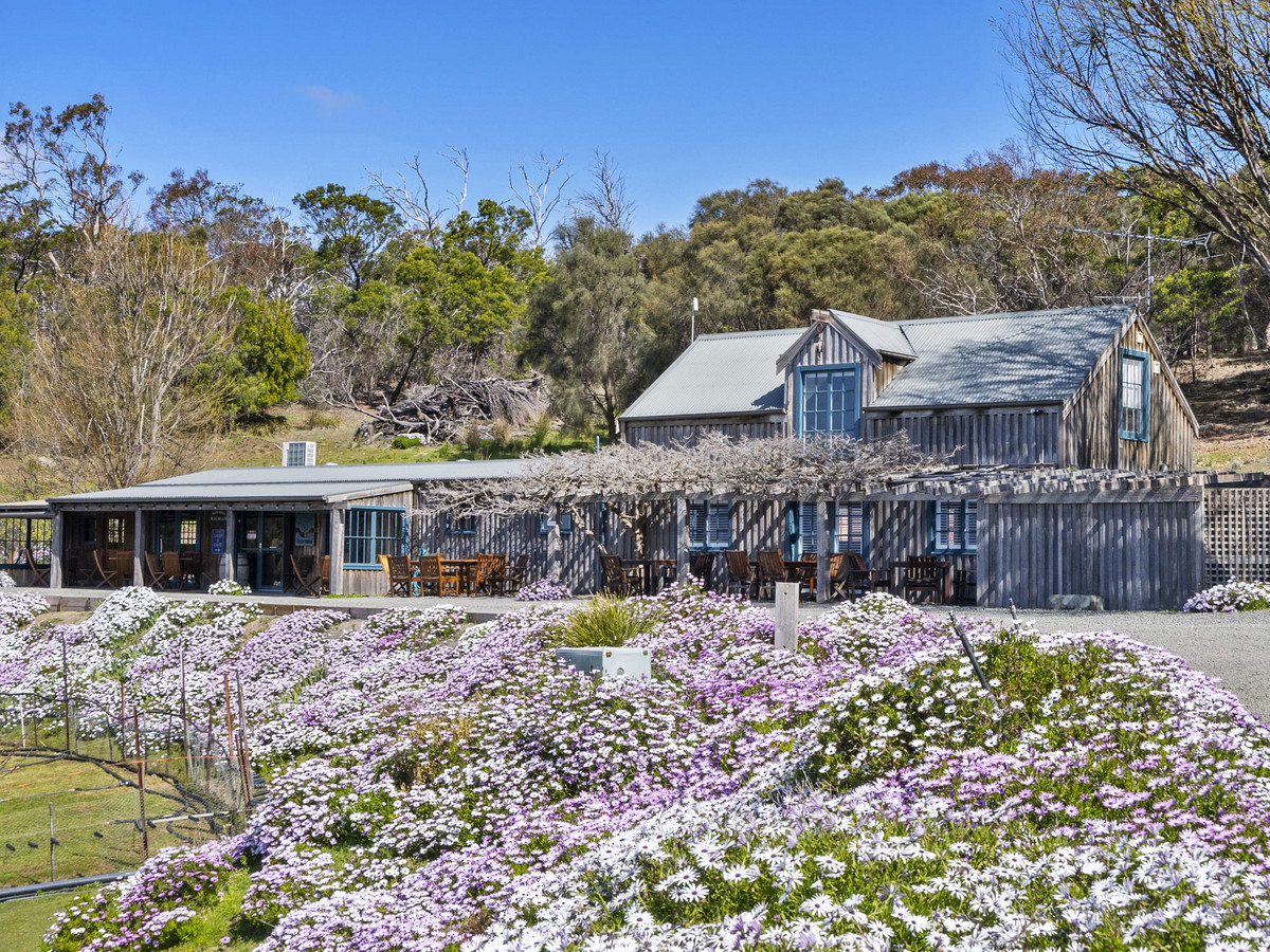 12 Addison Street, Swansea, TAS, 7190 - Image 1
